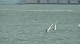 Race 2B