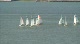 Race 7B