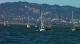 Race 7 Race 7