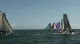 Race 7