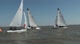 Race 8 - Royal Thames vs. Buccaneer
