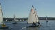 Radial Race 12