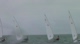 Radial Race 18 Radial Race 18