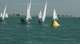 Radial Race 6 - Gold Radial Race 6 - Gold