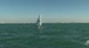 Radial Race 7 - Gold