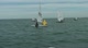 Radial Race 8 - Gold
