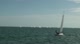 Radial Race 8