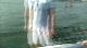 Sailing on Argo