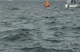 Skud 18 Gate Rounding