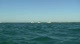 Melges 32 - Race 10 Intro