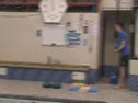 all land - Swimming video all land