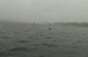 Race 2b