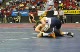 Peter Tatanish vs. Kevin O'Brien