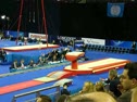 AA Finals Vault 09 World Championships