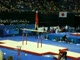 AA Finals Parallel Bars 09 World Championships