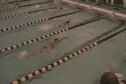 Women's 400free relay