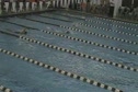 Women's 500 yd free
