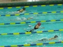 Erin's 100 Breast
