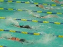 Emily's 100 Butterfly