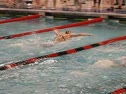 MA SC Senior Champs 2009 - 200 IM Prelims - Swimming video MA SC Senior Champs 2009 - 200 IM Prelims