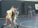Haines v Borlie