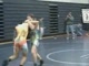 Haines v Borlie