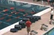 Award Ceremony, 100 Free