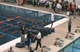 Award Ceremony, 50 Free