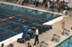 Award Ceremony, 50 Free