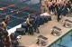 Award Ceremony, 50 Free (Disabled Athletes)