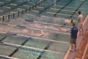 M college 400 scm free relay finals h1 d1