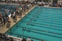 m 100 scy breast final hc d2
