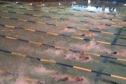 m club 200 lcm free prelim h2 d1