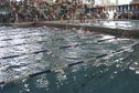 w college 100 scy back prelims h2 d2
