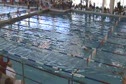 w college 1650 scy free final d3 h2