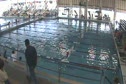 w college 1650 scy free finals h2 d3