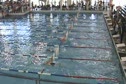 w college 500 scy free final d1 ha