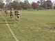 Women's Centennial Conference Championships
