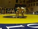 McCullough(Wahlert) Sheldon(CR Kennedy) 1st period