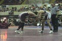 davis 3v. bi S0002