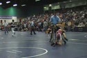 Tanner 1