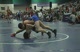 Tanner 2