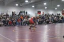 135# Coleman OPIL vs Freidley PHMO - Wrestling video 135# Coleman OPIL vs Freidley PHMO