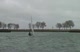 Race A2