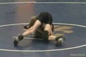 Highlights 2008-2009