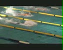 Darian 200IM AR