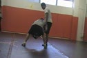 MOV001075