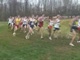 NCAA men xc 2008