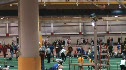 M mile H03