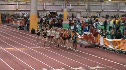W 800 H02 (Seeded)